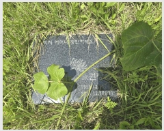  2025Ÿ��11232 �泲 õ�Ƚ� ������ �ϸ� ���ȸ� 121-1     ����(��1)���