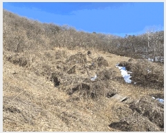  2025Ÿ��11232 �泲 õ�Ƚ� ������ �ϸ� ���ȸ� 121-1     ����(��1)���