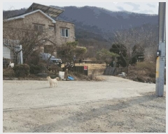  2025Ÿ��11332 �泲 �ƻ�� ����� ��ö�� 665-5      ����(����)���