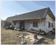  2025Ÿ��11366  ����