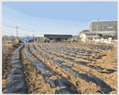  2025Ÿ��11366  ����