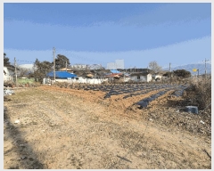  2025Ÿ��11366  ����