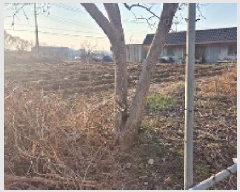  2025Ÿ��11366  ����