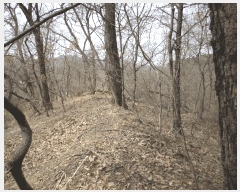  2025Ÿ��11392  �Ӿ߰��