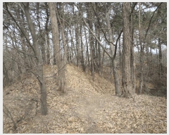  2025Ÿ��11392  �Ӿ߰��