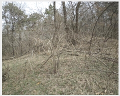  2025Ÿ��11392  �Ӿ߰��