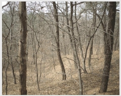  2025Ÿ��11392  �Ӿ߰��