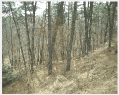  2025Ÿ��11392  �Ӿ߰��