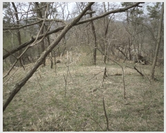  2025Ÿ��11392  �Ӿ߰��