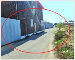  2025Ÿ��11498  ����������