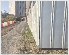  2025Ÿ��11498  ����������