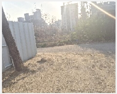  2025Ÿ��11498  ����������