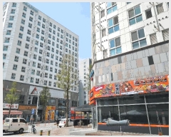  2025Ÿ11529 泲 õȽ ϱ  1345 7 4405ȣ    Ȱð