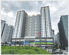  2025Ÿ11611 泲 ƻ  縮 1719 ھƷ̵Ƽ 6619ȣ    ǽڰ