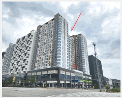  2025Ÿ11611 泲 ƻ  縮 1719 ھƷ̵Ƽ 6619ȣ    ǽڰ