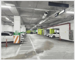  2025Ÿ11611 泲 ƻ  縮 1719 ھƷ̵Ƽ 6619ȣ    ǽڰ