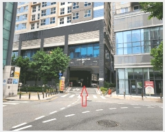  2025Ÿ11611 泲 ƻ  縮 1719 ھƷ̵Ƽ 6619ȣ    ǽڰ