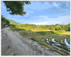  2025Ÿ11658 泲 õȽ  õ õ 36     ()