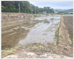  2025Ÿ11658 泲 õȽ  õ õ 36     ()