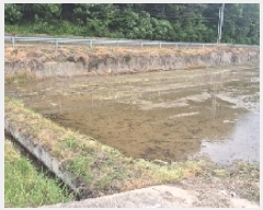  2025Ÿ11658 泲 õȽ  õ õ 36     ()