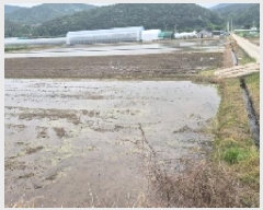  2025Ÿ11658 泲 õȽ  õ õ 36     ()