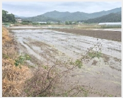  2025Ÿ11658 泲 õȽ  õ õ 36     ()