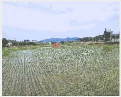  2025Ÿ11732 泲 ƻ â  154-4      ()