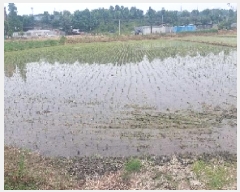  2025Ÿ11732 泲 ƻ â  154-4      ()