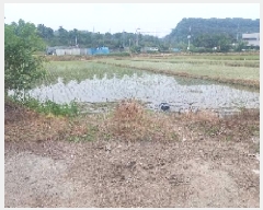  2025Ÿ11732 泲 ƻ â  154-4      ()