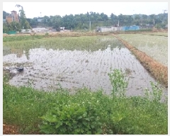  2025Ÿ11732 泲 ƻ â  154-4      ()