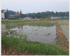  2025Ÿ11732 泲 ƻ â  154-4      ()