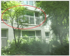  2025Ÿ��11750  ����Ʈ���