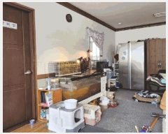  2025Ÿ��11752 �泲 õ�Ƚ� ���ϱ� ����� ��븮 266-2     ������