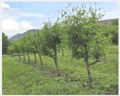  2025Ÿ��11802  �����