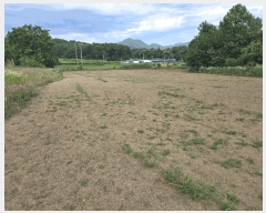  2025Ÿ��11802  �����