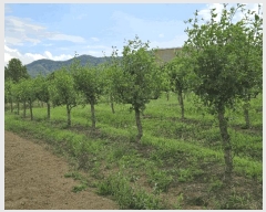  2025Ÿ��11802  �����