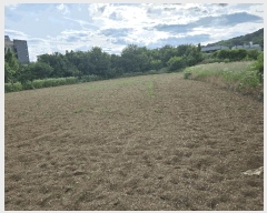  2025Ÿ��11802  �����