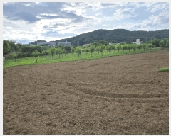  2025Ÿ��11802  �����