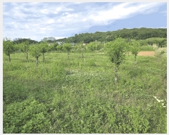  2025Ÿ��11802  �����