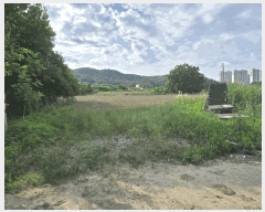  2025Ÿ��11802  �����