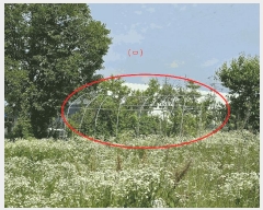  2025Ÿ��11861  �����