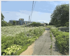  2025Ÿ��11861  �����