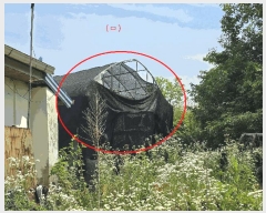  2025Ÿ��11861  �����