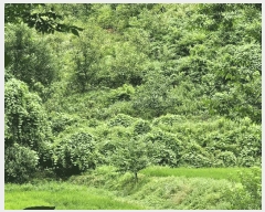  2025Ÿ��12017  �����