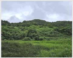  2025Ÿ��12017  �����