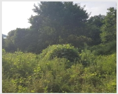  2025Ÿ��12017  �����