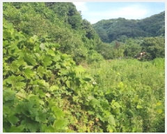  2025Ÿ��12017  �����