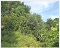  2025Ÿ��12017  �����