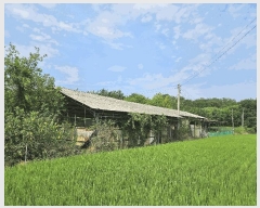  2025Ÿ��12106 �泲 õ�Ƚ� ������ ���Ÿ� ��ǳ�� 143-8     ���(�󰡽ü�)���