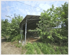  2025Ÿ��12106 �泲 õ�Ƚ� ������ ���Ÿ� ��ǳ�� 143-8     ���(�󰡽ü�)���